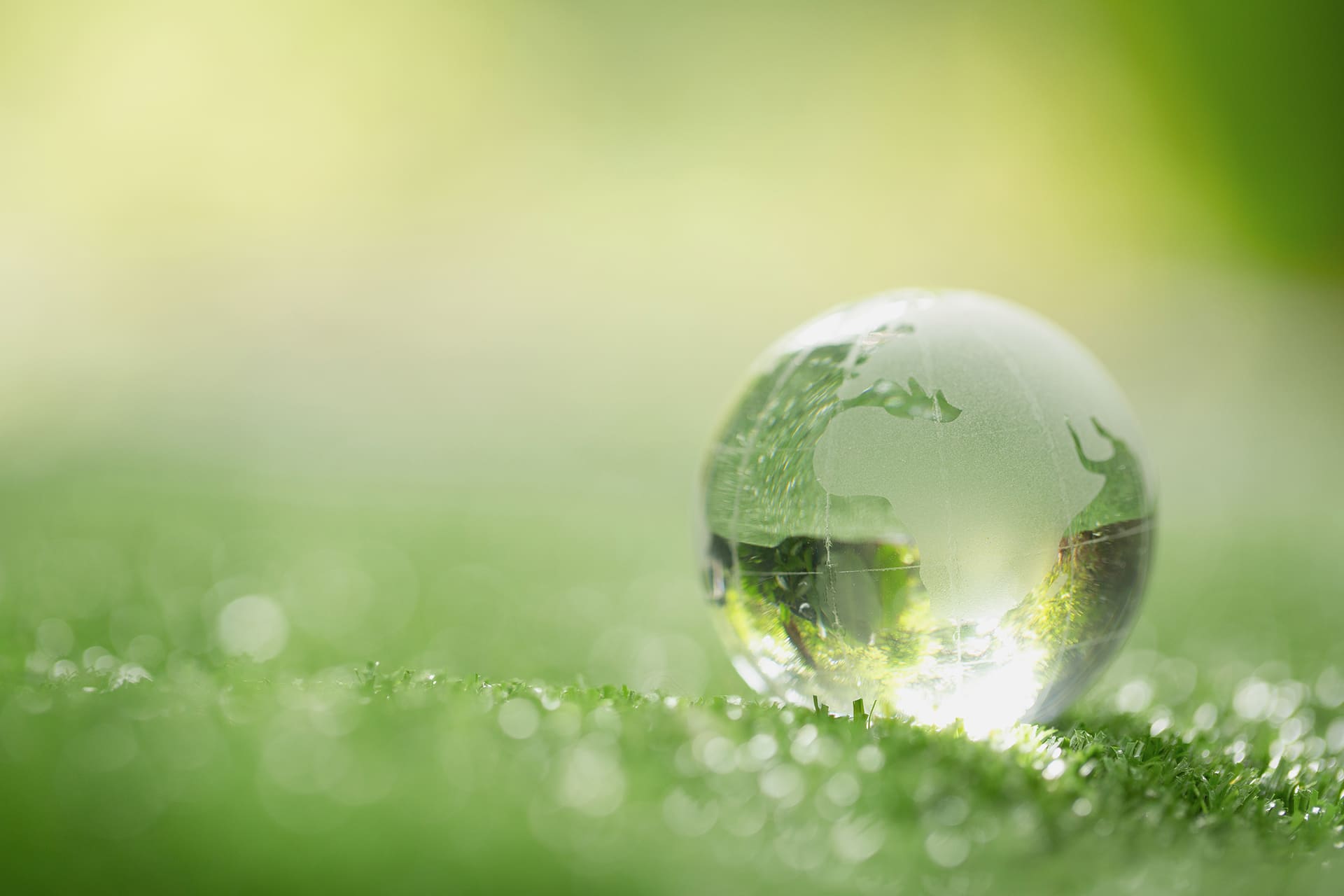 close-up-crystal-globe-resting-grass-forest (1)